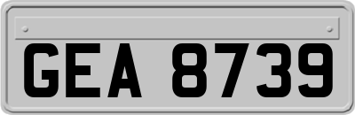GEA8739