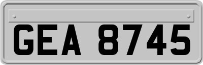 GEA8745