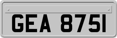 GEA8751