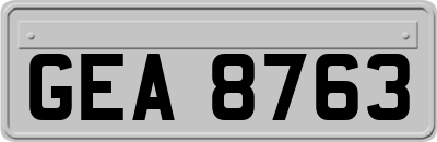 GEA8763