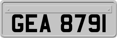 GEA8791