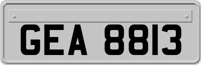 GEA8813