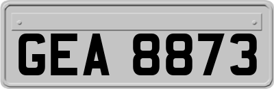 GEA8873