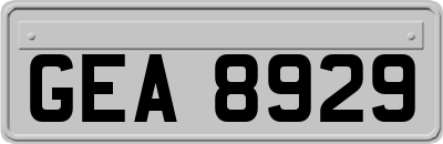 GEA8929