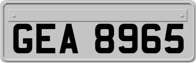 GEA8965