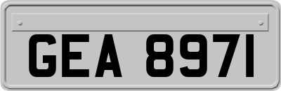 GEA8971