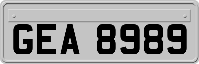 GEA8989