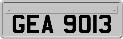 GEA9013