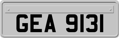 GEA9131