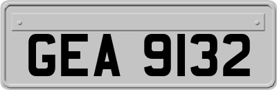 GEA9132
