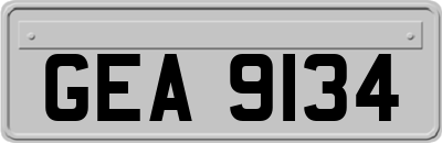 GEA9134