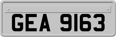 GEA9163