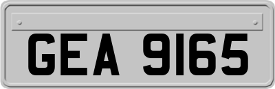 GEA9165