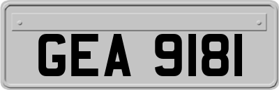GEA9181