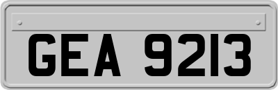 GEA9213