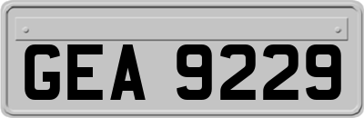 GEA9229