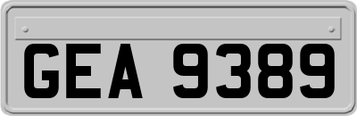 GEA9389