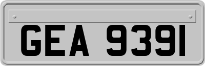 GEA9391