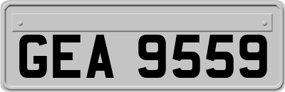 GEA9559