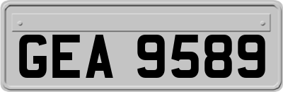 GEA9589