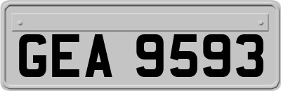 GEA9593