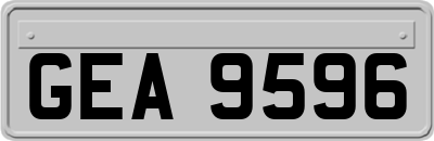 GEA9596