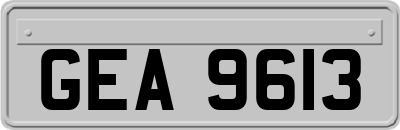 GEA9613