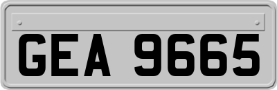 GEA9665