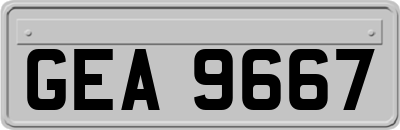 GEA9667