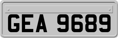 GEA9689