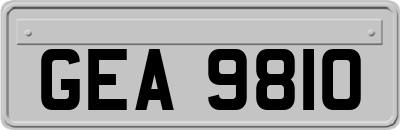 GEA9810