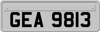 GEA9813