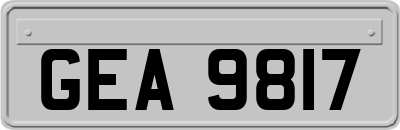 GEA9817