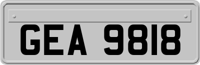 GEA9818