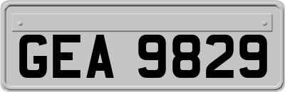 GEA9829