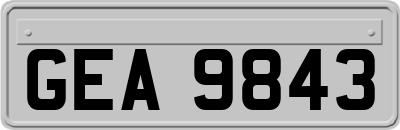 GEA9843