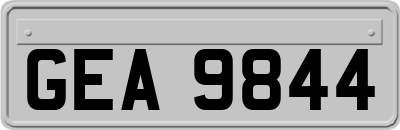 GEA9844