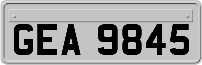 GEA9845