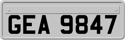 GEA9847