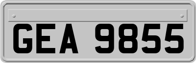 GEA9855