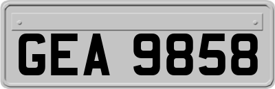 GEA9858