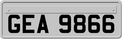 GEA9866