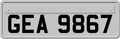 GEA9867
