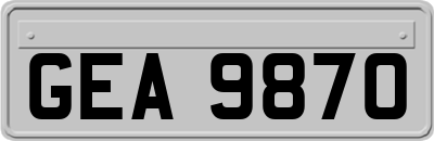 GEA9870