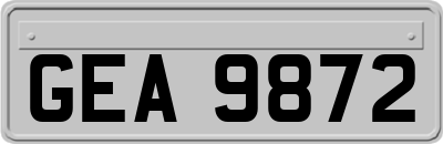 GEA9872
