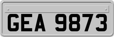 GEA9873
