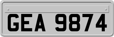 GEA9874