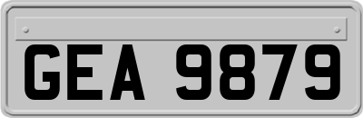 GEA9879