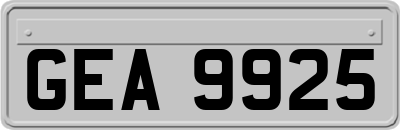 GEA9925