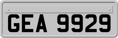 GEA9929